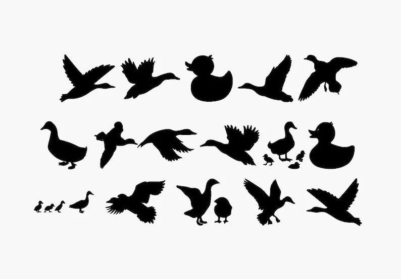 16 Duck Variation Collection